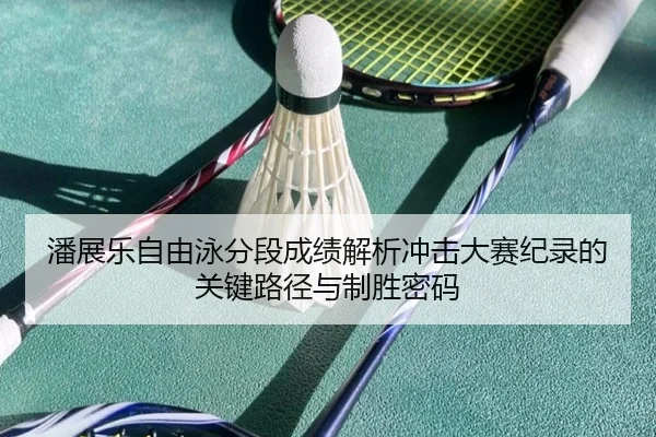 潘展乐自由泳分段成绩解析冲击大赛纪录的关键路径与制胜密码